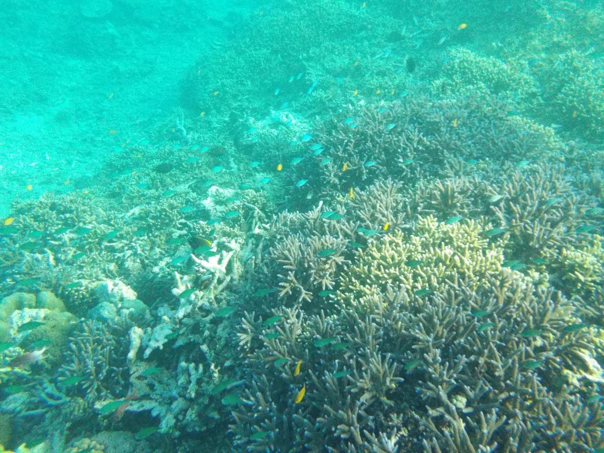 II Bungalow Gili Meno Εξωτερικό φωτογραφία
